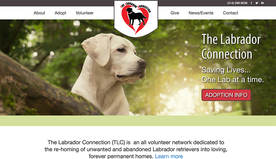 The Lab Connection The Lab Connection